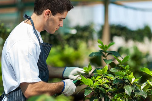 Encrypted Tree Surgeons Erith payment transaction process