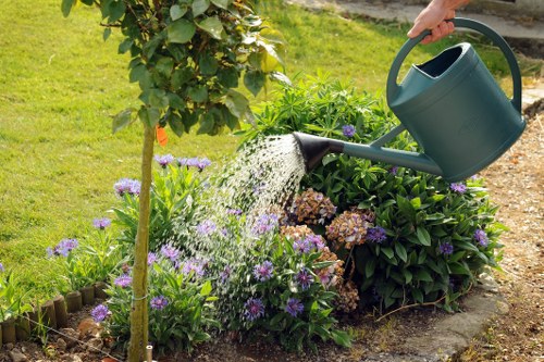 Professional tree surgery equipment and waste removal after tree work