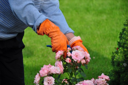 Experienced Erith tree surgeons carrying out specialist pruning and canopy maintenance