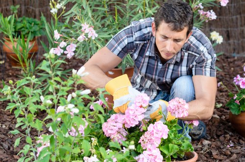 Free quote policy for tree surgeons in Erith